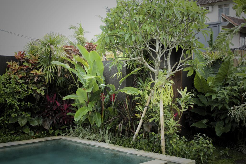 Dugul Ubud Habitación foto